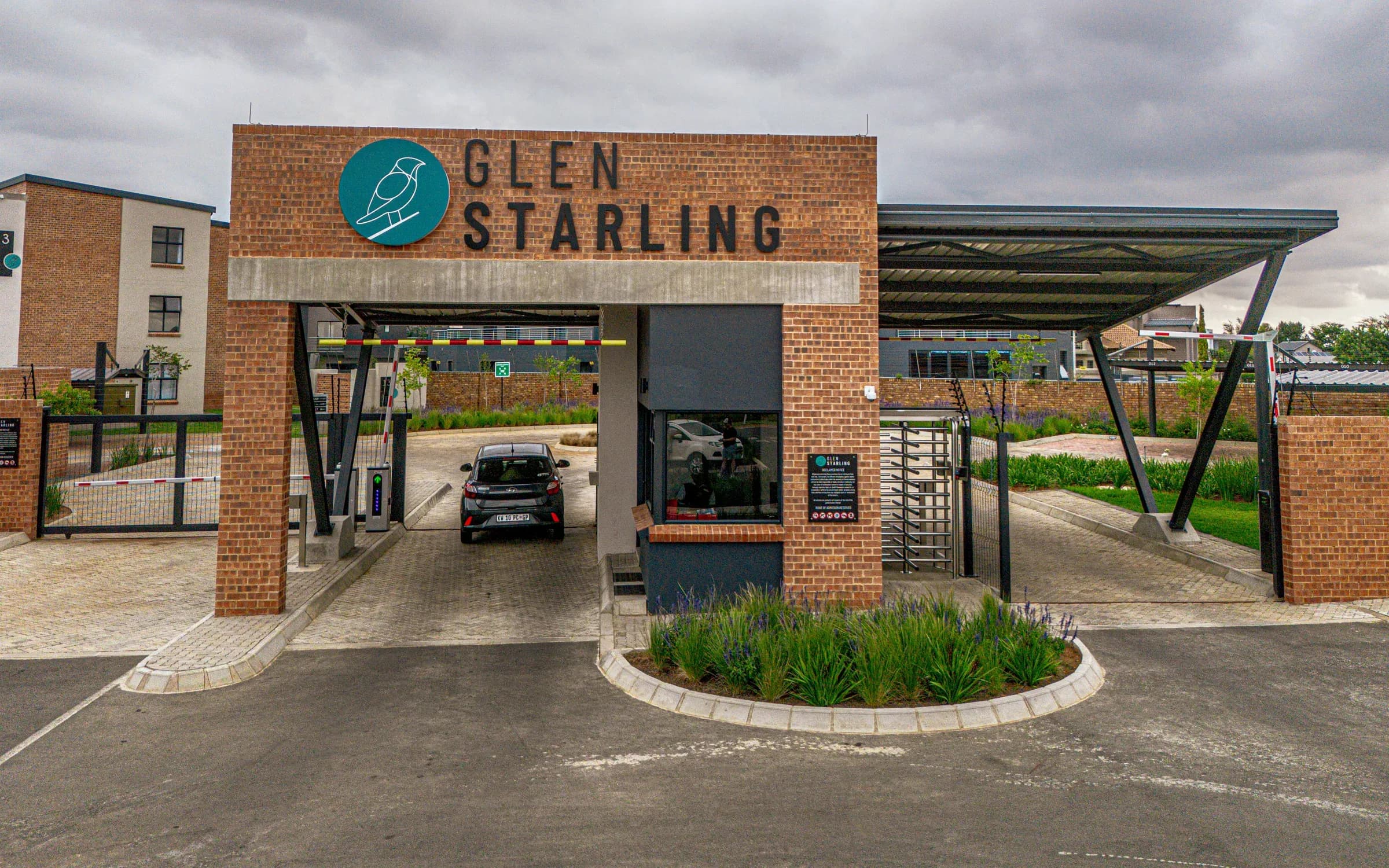 Glen Starling 2